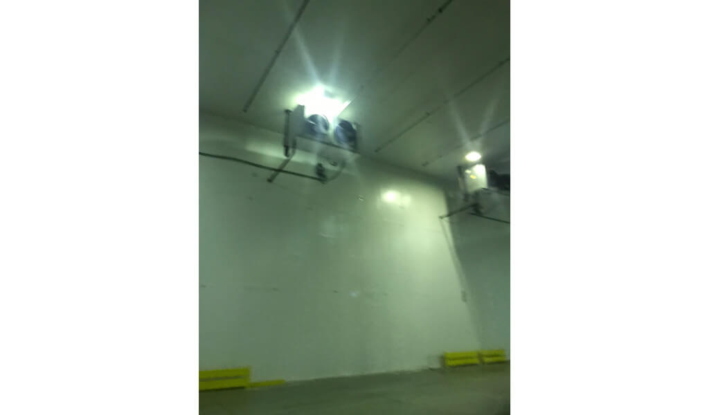 131 X 145 X 30 Drive In Cooler