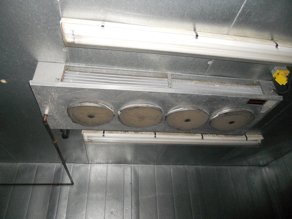 14 X 36 X 10 Bally Walk In Cooler